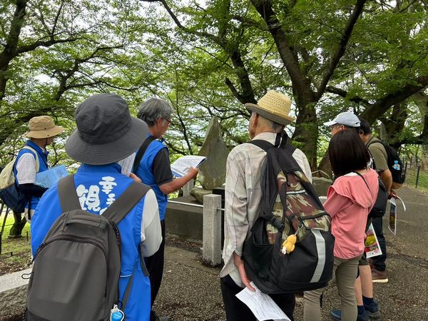 サンプルイメージ